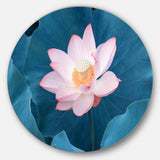 Blooming Pink Lotus Flower' Oversized Beach Metal Circle Wall Art