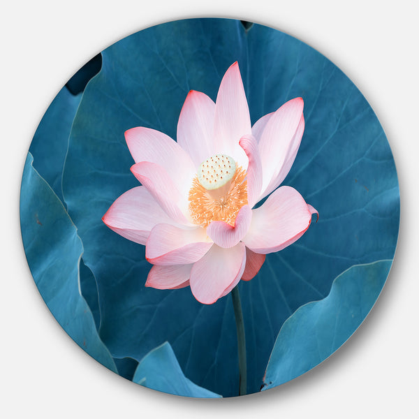 アート・デザイン・音楽 The Lotus Flower: A Textile Hidden in Colorful lotus on water line art seamless pattern for print