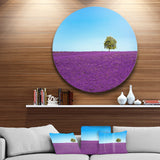 Lonely Tree in Lavender Field' Oversized Landscape Wall Art Print