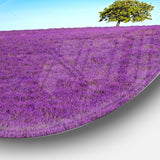 Lonely Tree in Lavender Field' Oversized Landscape Wall Art Print