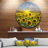 Field of Blooming Sunflowers' Large Flower Metal Circle Wall Art