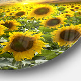 Field of Blooming Sunflowers' Large Flower Metal Circle Wall Art