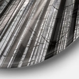 Sunbeams Peeking Through Dark Forest' Forest Metal Circle Wall Art