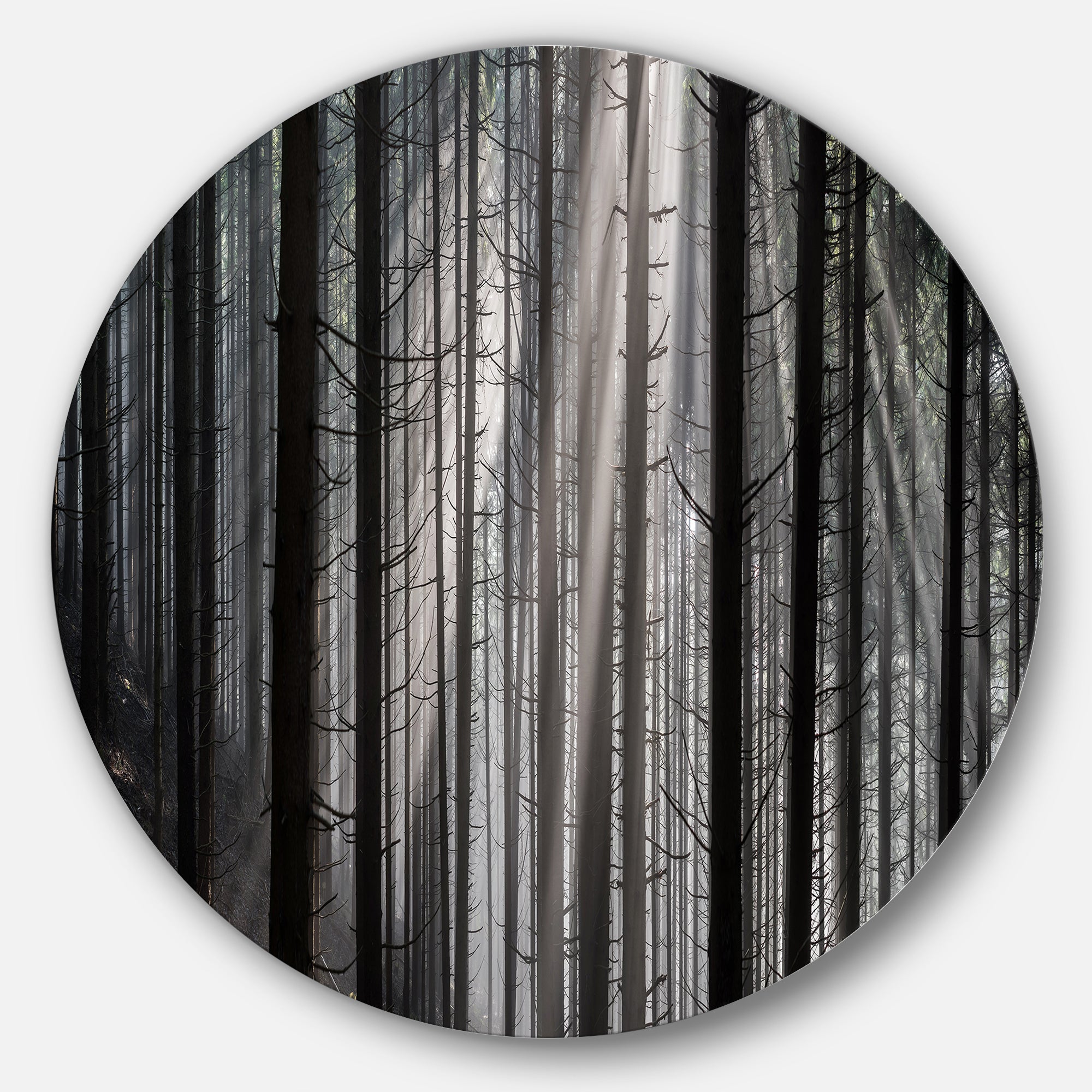 Sunbeams Peeking Through Dark Forest' Forest Metal Circle Wall Art