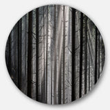 Sunbeams Peeking Through Dark Forest' Forest Metal Circle Wall Art