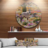 Beautiful Oryx in Flower Field' African Metal Circle Wall Art Print