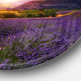 Beautiful Sunset over Lavender Field' Floral Metal Circle Wall Art