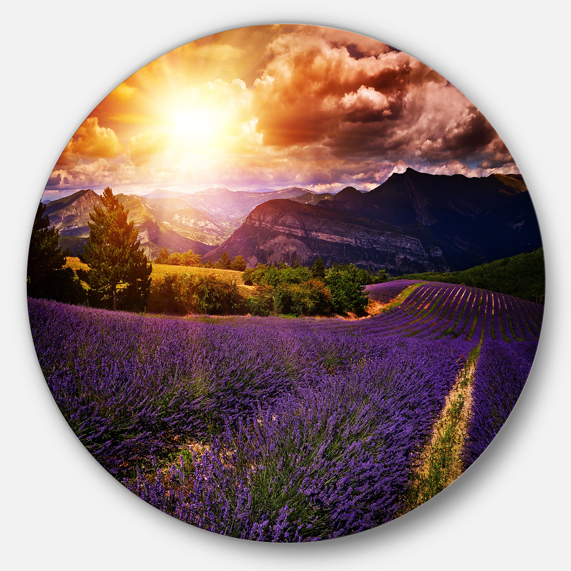 Beautiful Sunset over Lavender Field' Floral Metal Circle Wall Art