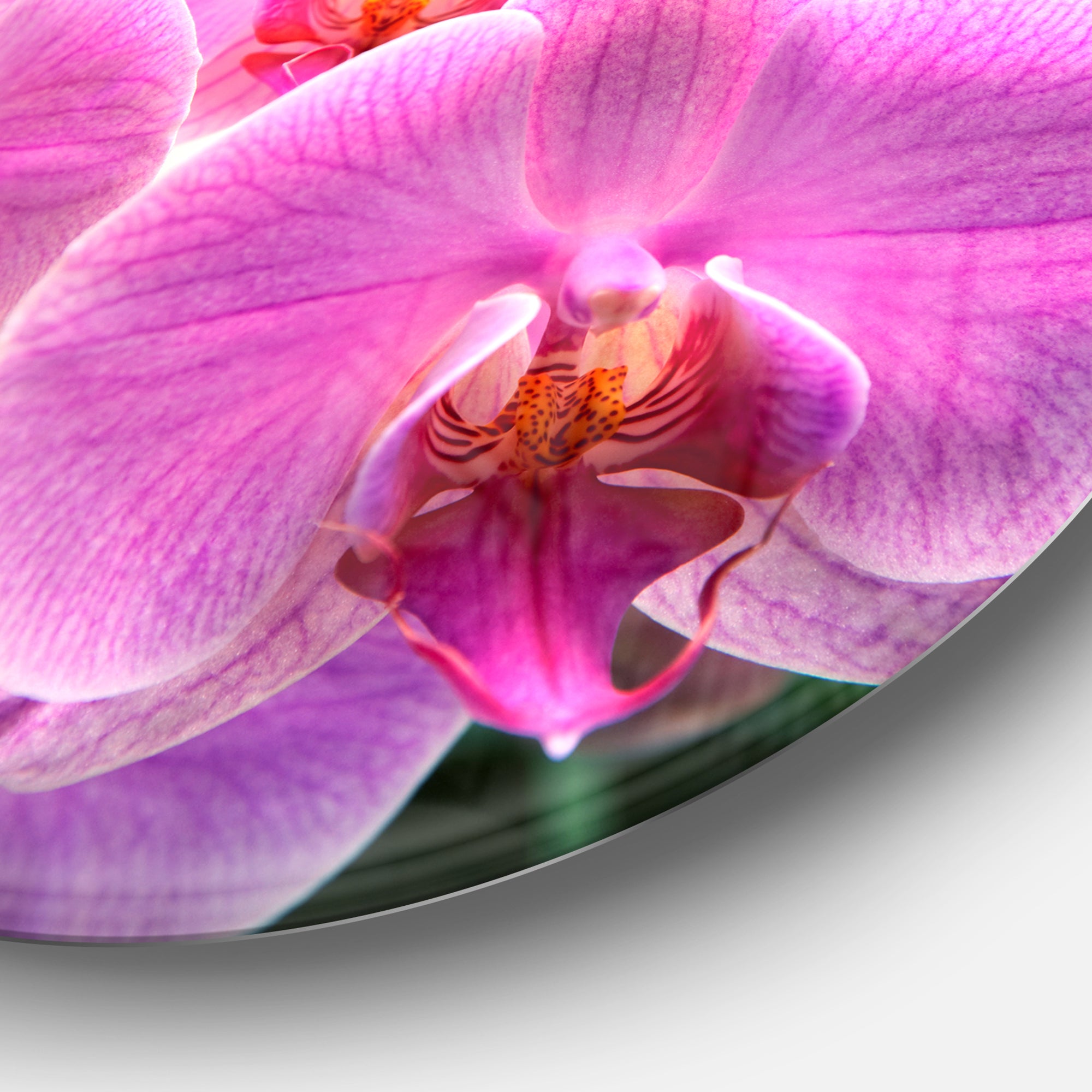 Beautiful Purple Orchid Flowers' Large Flower Oversized Metal Circle Wall Art