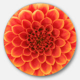 Abstract Orange Flower Design' Disc Floral Circle Metal Wall Decor