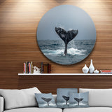 'Large Humpback Whale Tail' Disc Oversized Animal Wall Art