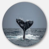 'Large Humpback Whale Tail' Disc Oversized Animal Wall Art