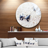 'Baby Green Turtles on Sand' Disc Oversized Animal Wall Art