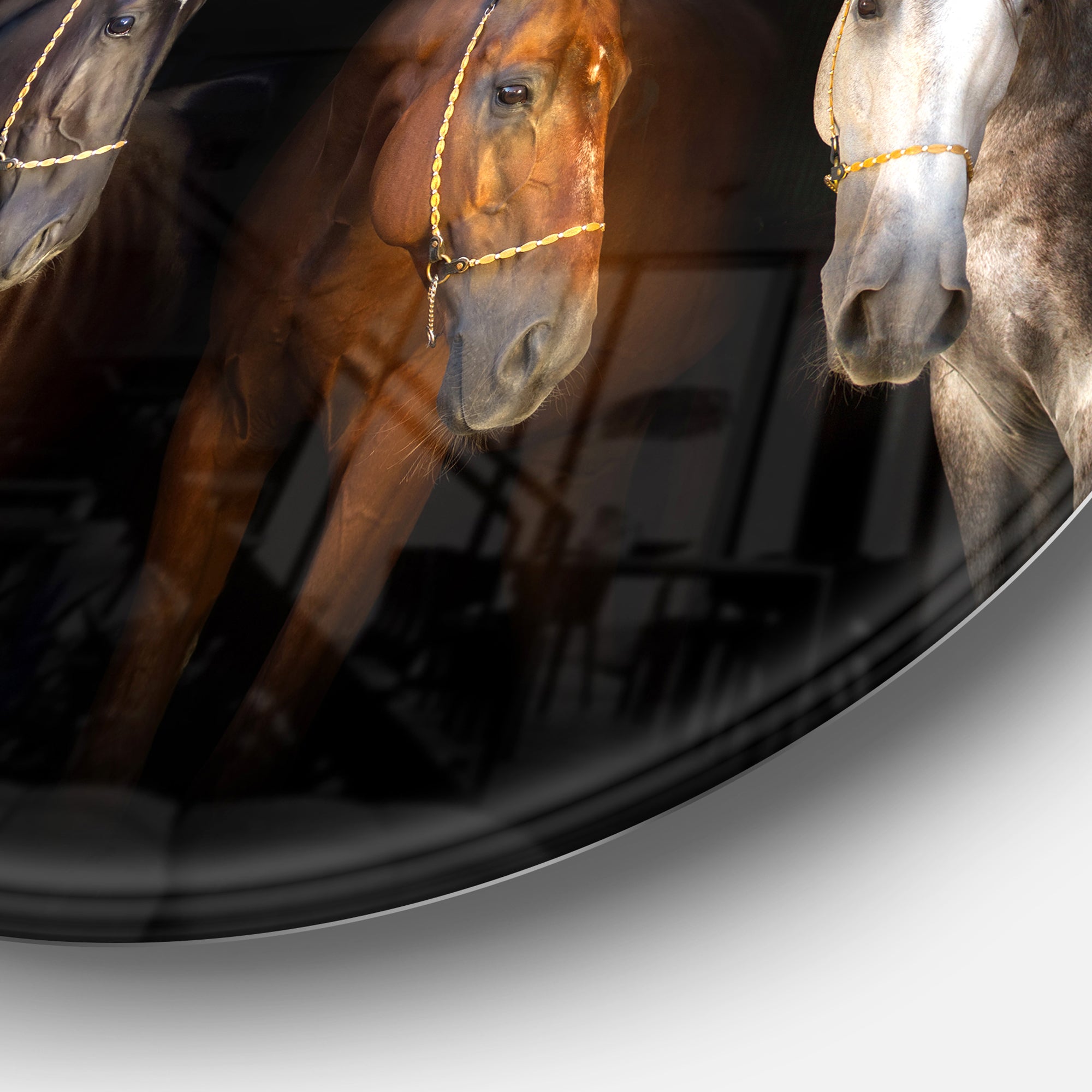 Three Horses with Golden Bridle' Disc Animal Metal Circle Wall Art