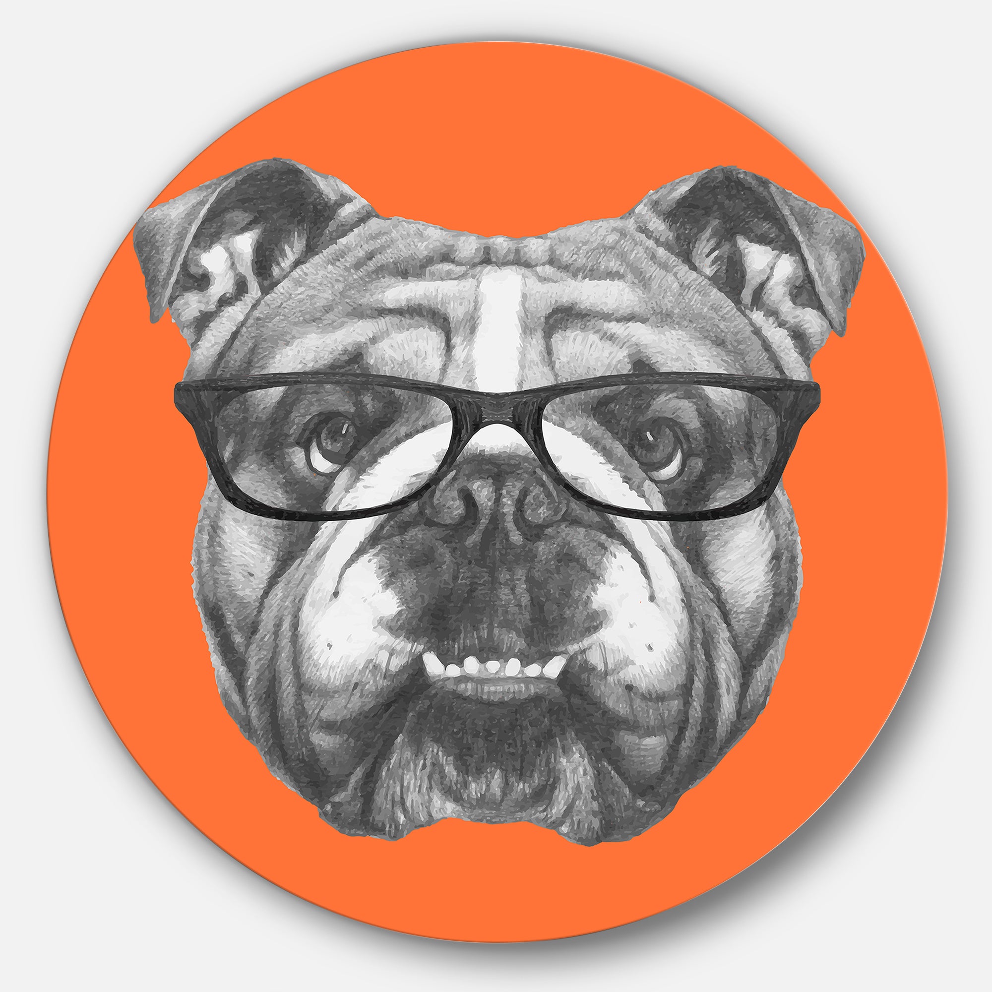 English Bulldog with Glasses' Disc Animal Metal Circle Wall Art