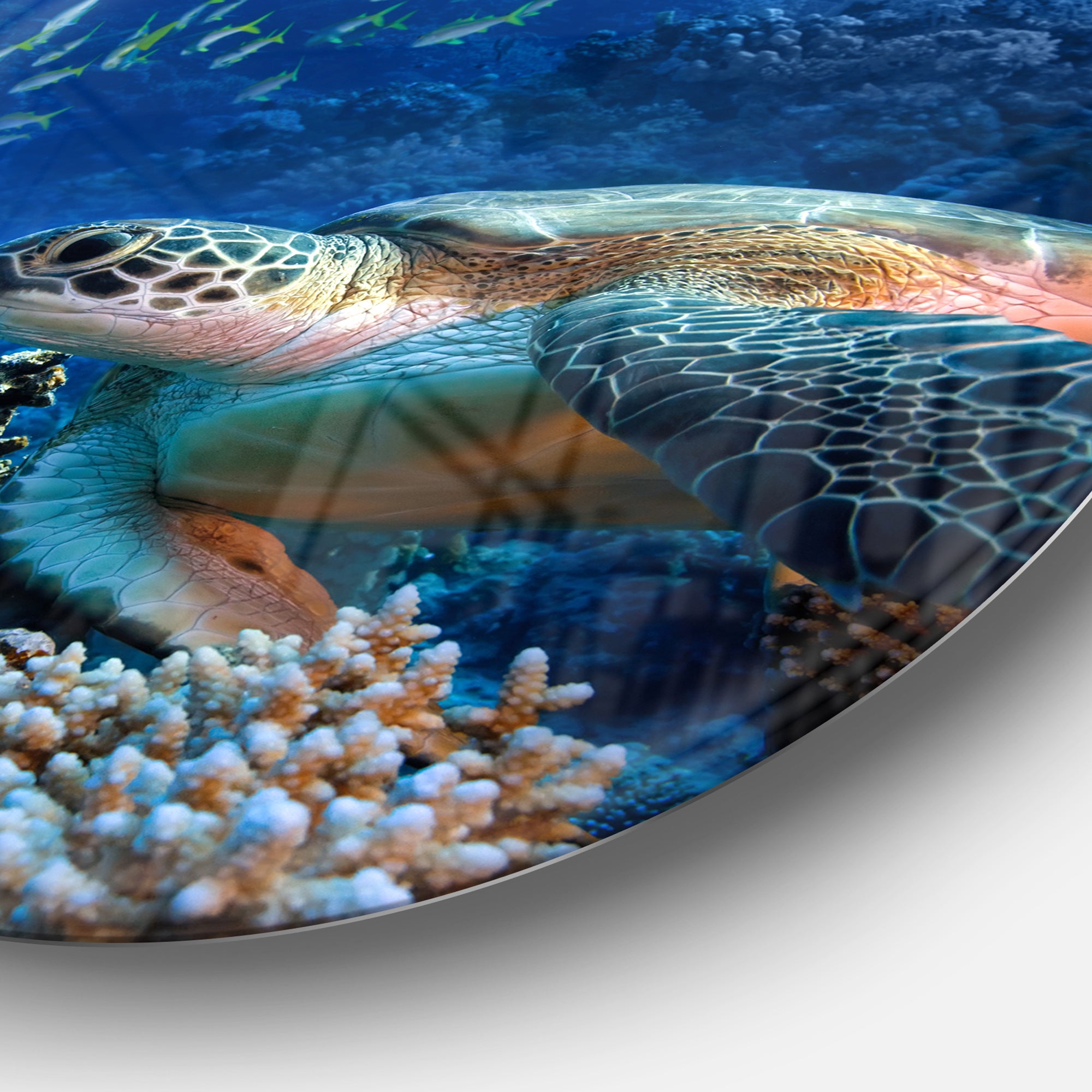 Large Sea Turtle underwater' Ultra Vibrant Abstract Metal Circle Wall Art