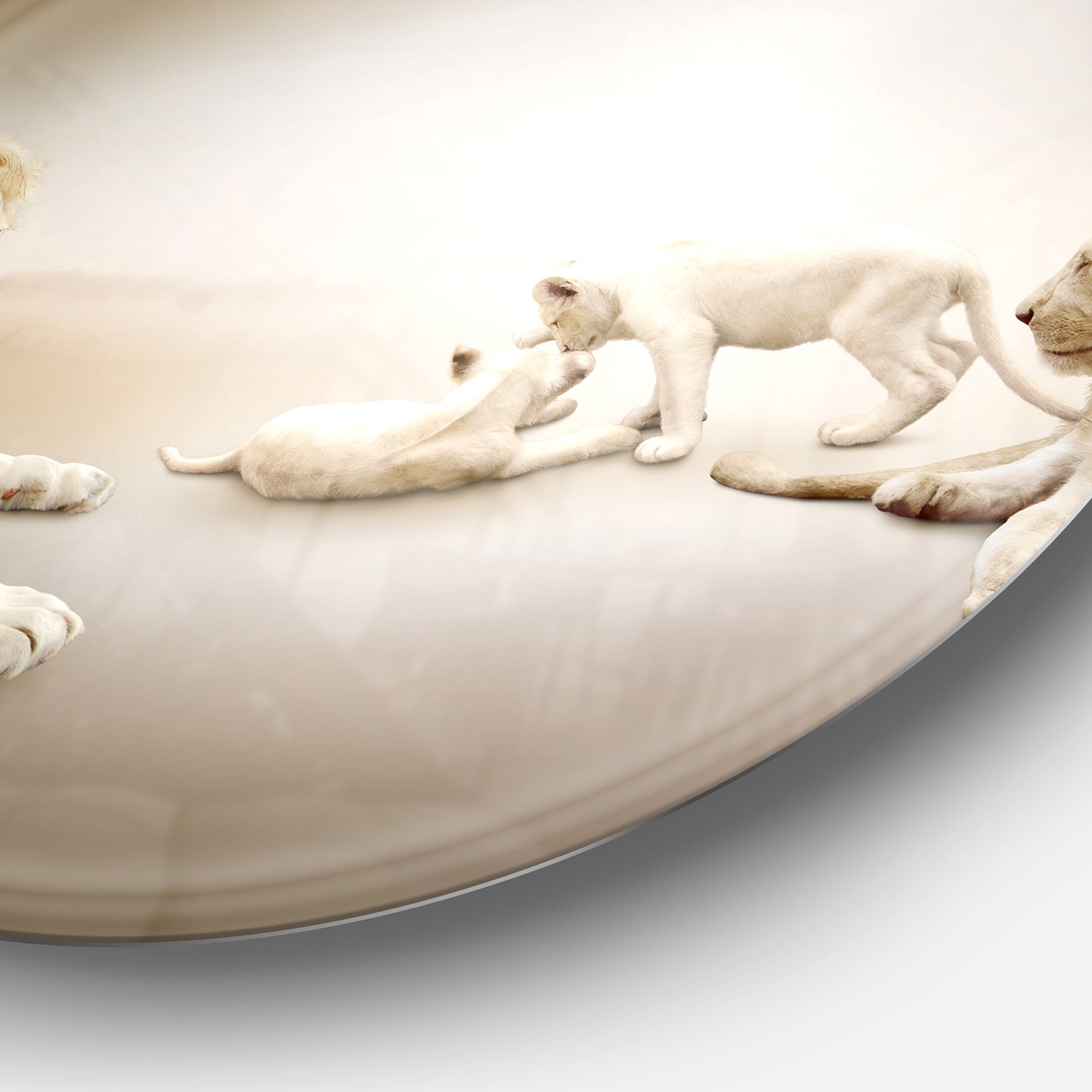 White Lion Family' Ultra Glossy Animal Oversized Metal Circle Wall Art