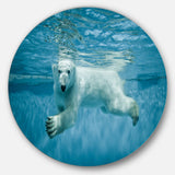 'Polar Bear Swimming under Water' Disc Large Animal Metal Artwork