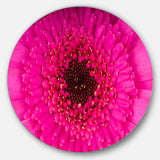 Macro Photo of Gerbera Flower' Disc Flowers Large Metal Circle Wall Artwork