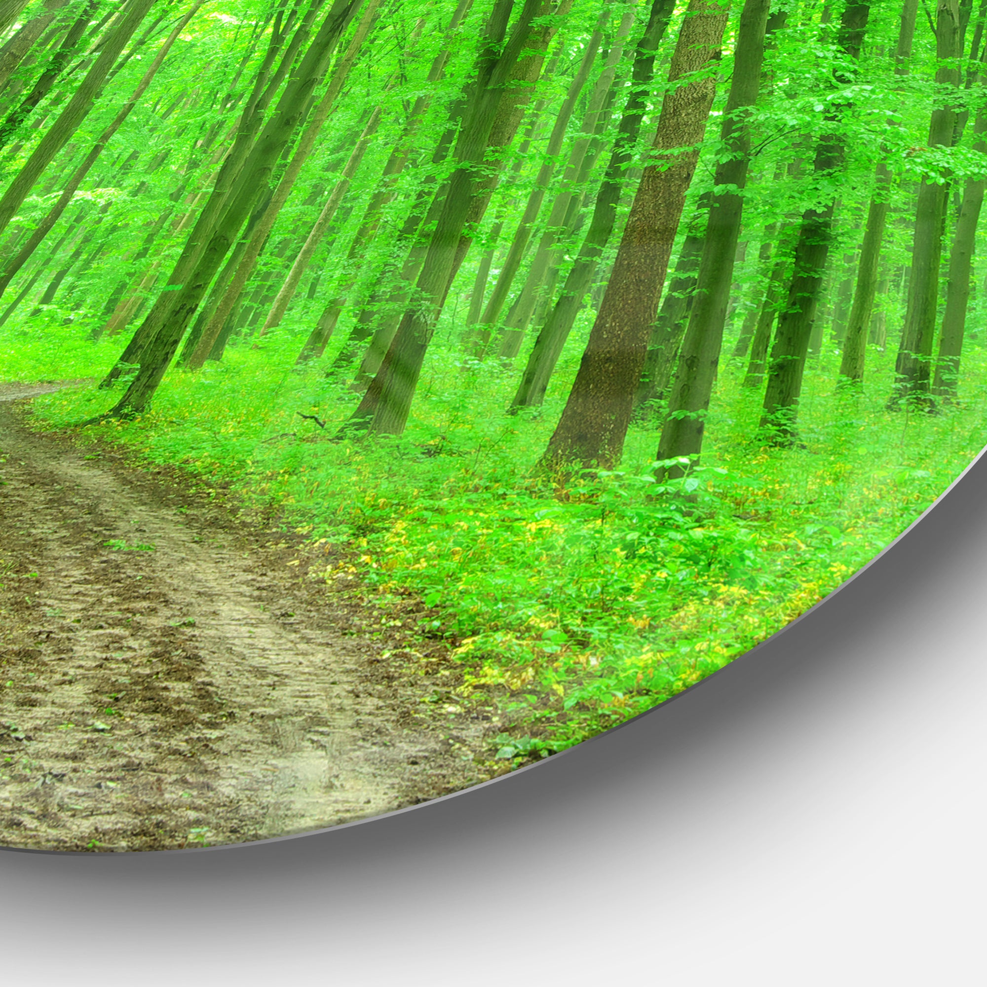 Pathway in Bright Green Forest' Disc Forest Metal Circle Wall Arts