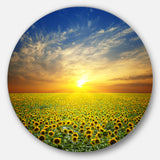 Beauty Sunset over Sunflowers Field' Disc Floral Metal Circle Wall Art