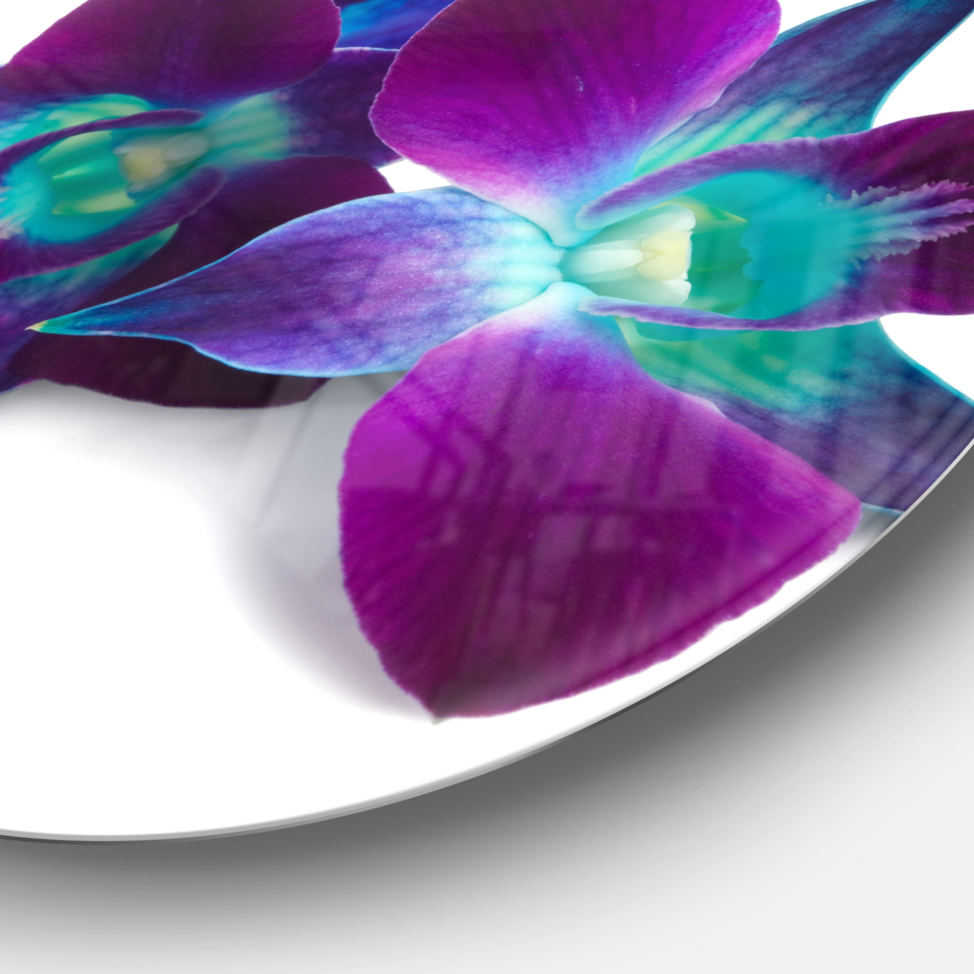 Deep Purple Orchid Flowers on White' Disc Flowers Metal Circle Wall Artwork