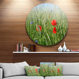 Rural Landscape with Red Poppies' Large Landscape Metal Circle Wall Art