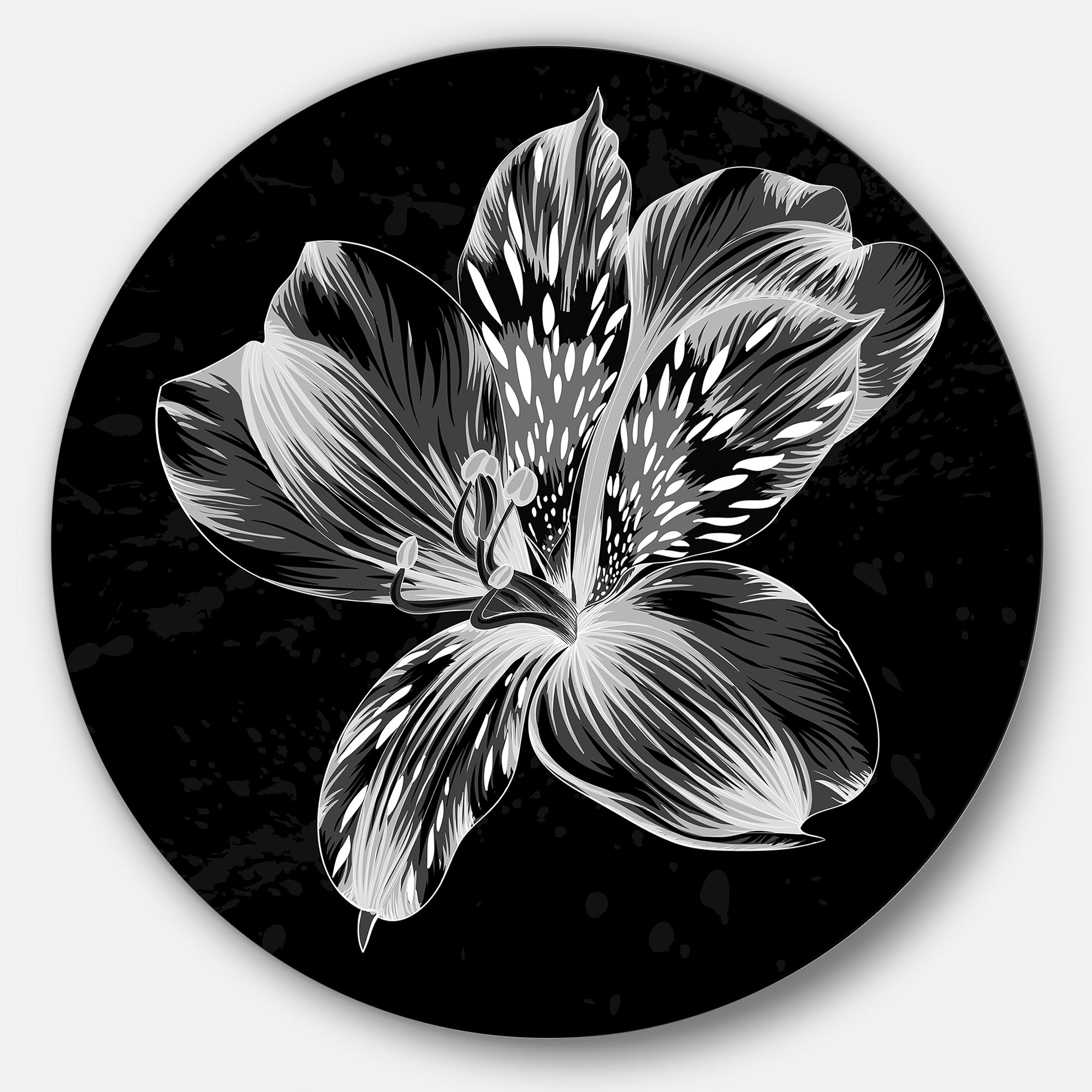Beautiful Monochrome Alstroemeria Flower' Extra Large Floral Wall Art