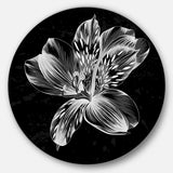 Beautiful Monochrome Alstroemeria Flower' Extra Large Floral Wall Art
