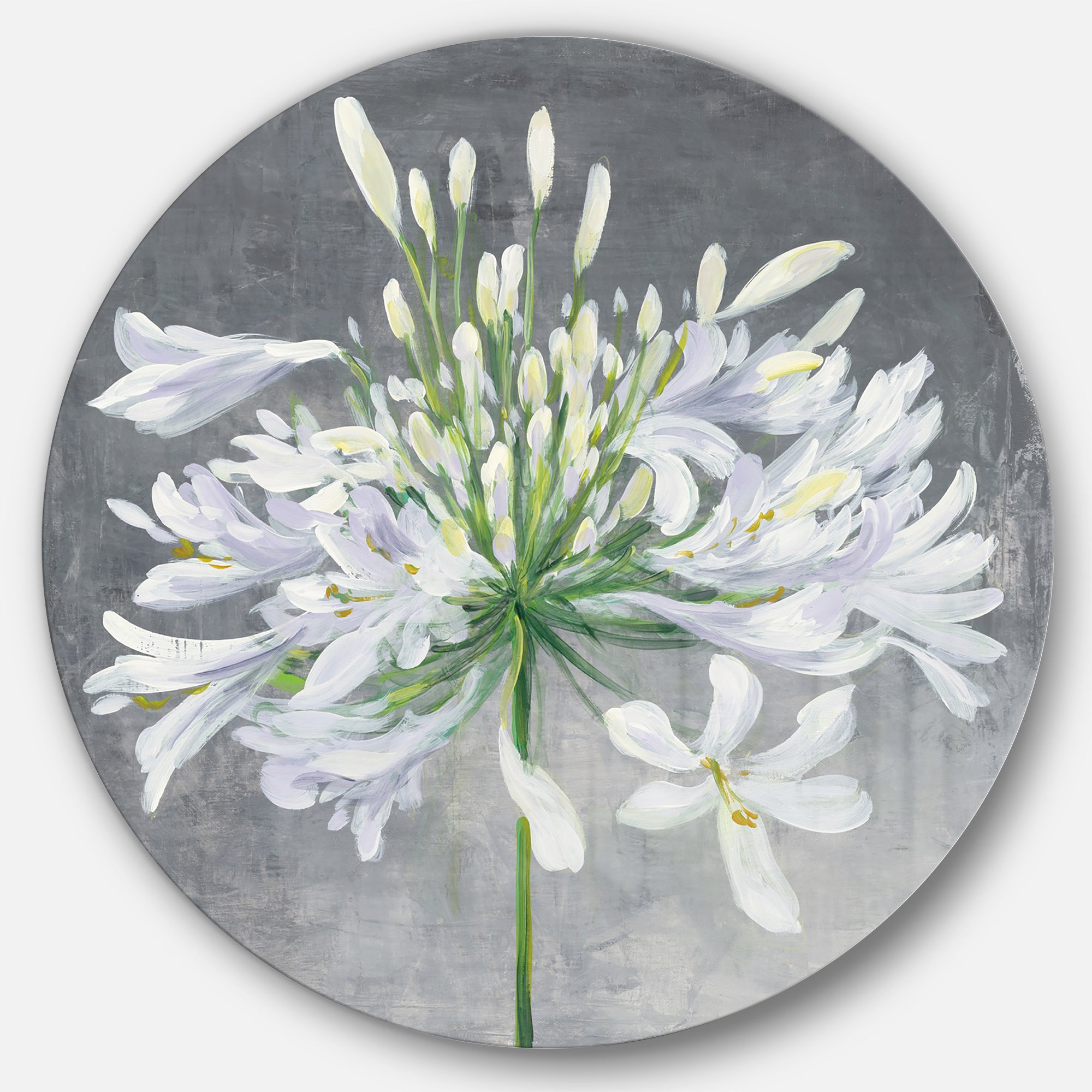 Designart 'Flower Cleome Splash I' Farmhouse Metal Circle Wall Art