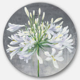Designart 'Flower Cleome Splash I' Farmhouse Metal Circle Wall Art
