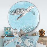 Designart 'Coastal Sea Life I Turtle sketches' Nautical & Coastal Metal Circle Wall Art
