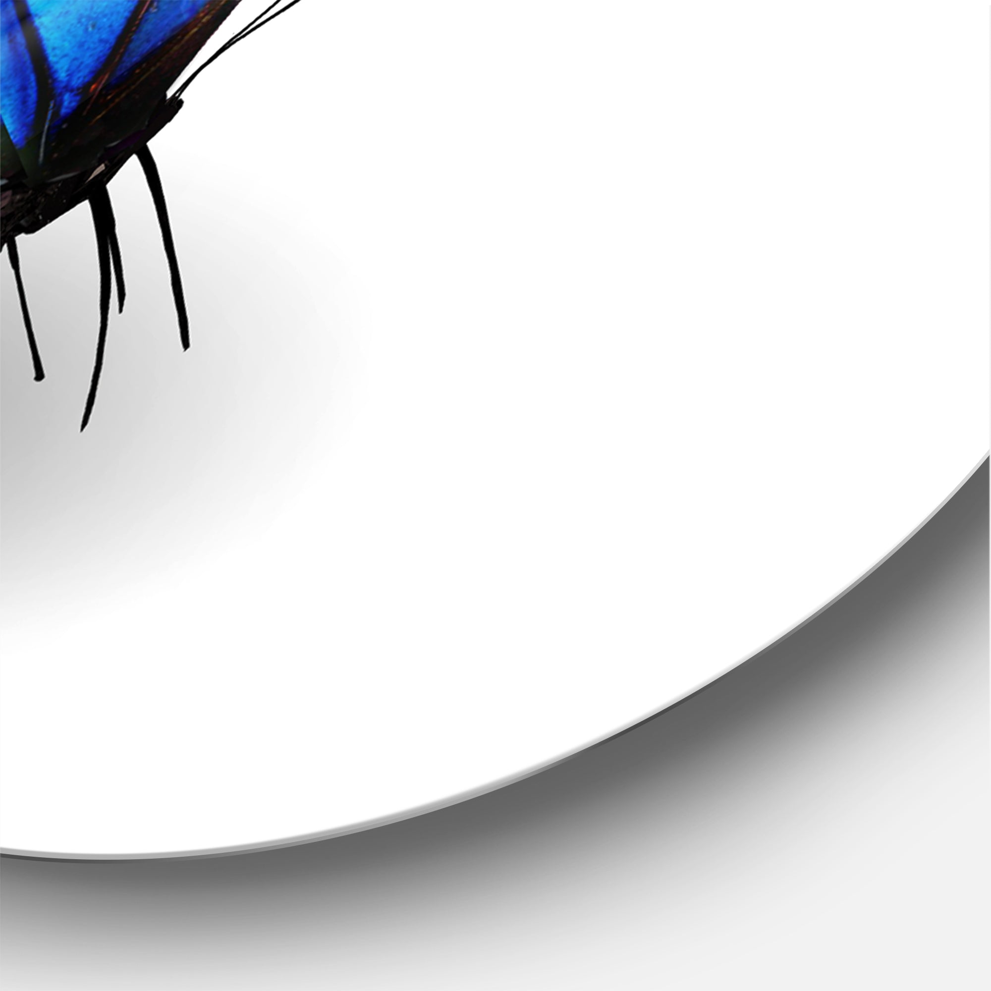 Designart 'Vibrant Blue Butterfly' Modern Metal Circle Wall Art