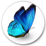 Designart 'Vibrant Blue Butterfly' Modern Metal Circle Wall Art