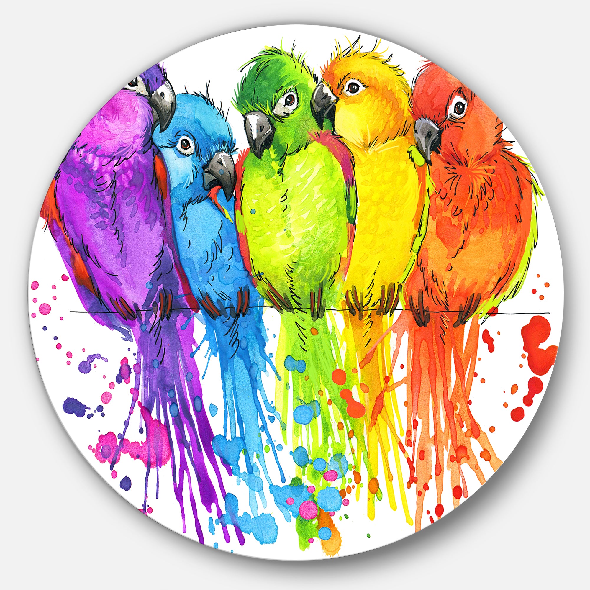 Colorful Parrots Illustration' Animal Metal Circle Wall Art