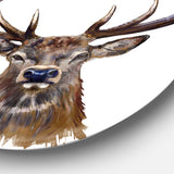 Deer Head in Front Illustration' Animal Circle Metal Wall Art