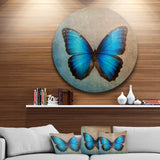 Blue Vintage Butterfly' Floral Circle Metal Wall Art