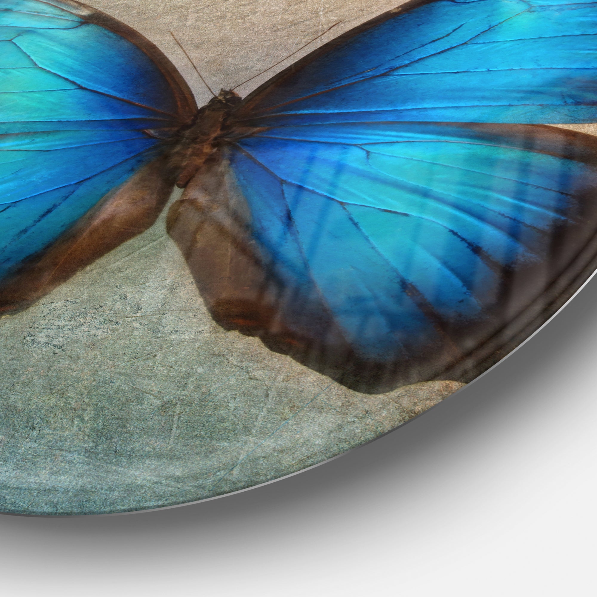 Blue Vintage Butterfly' Floral Circle Metal Wall Art