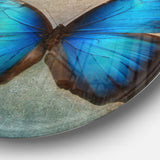 Blue Vintage Butterfly' Floral Circle Metal Wall Art