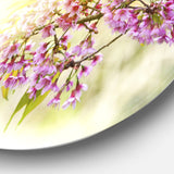 Blooming Cherry Flowers' Floral Photography Circle Metal Wall Art