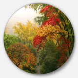 Colorful Maple Trees' Disc Floral Photography Circle Metal Wall Art