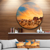Camels in Wadi Rum' Disc Photography Circle Metal Wall Art