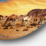 Camels in Wadi Rum' Disc Photography Circle Metal Wall Art