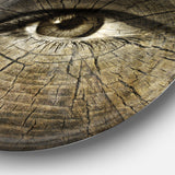 Aging Eyes' Disc Abstract Circle Metal Wall Art