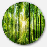Forest with Rays of Sun Panorama' Disc Landscape Circle Metal Wall Art