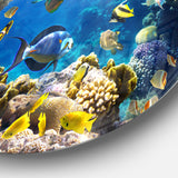 Fish in Coral Reef' Disc Seascape Photography Circle Metal Wall Art