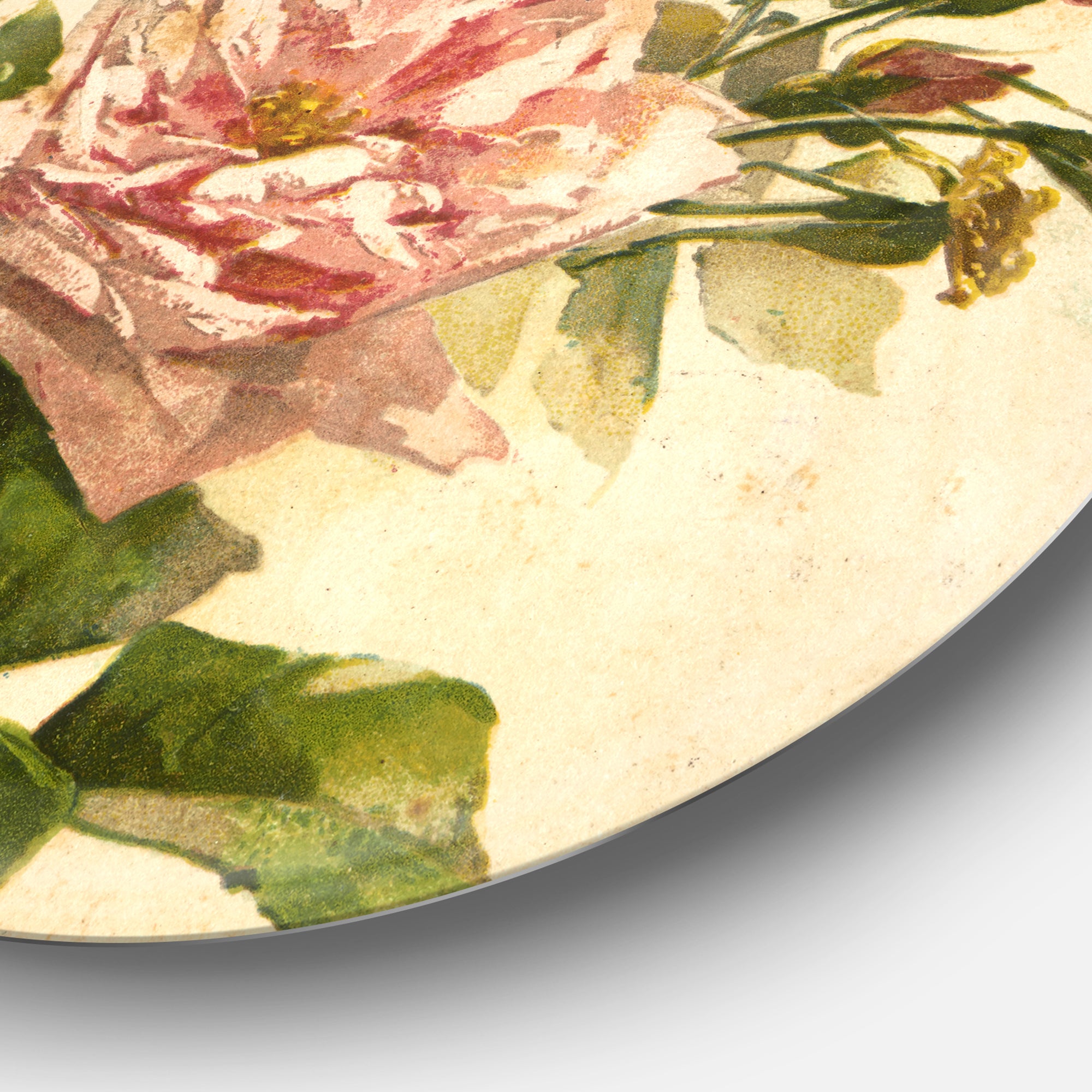 'Pink Flower Illustration' Disc Floral Metal Artwork