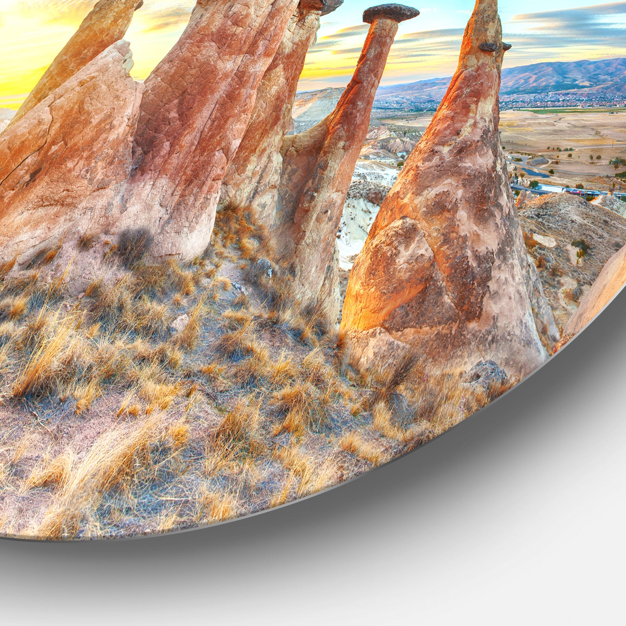 Mushrooms' Disc Landscape Photography Circle Metal Wall Art