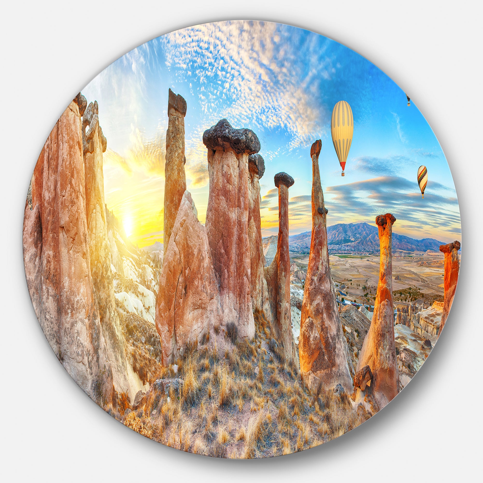 Mushrooms' Disc Landscape Photography Circle Metal Wall Art