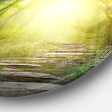 Magic Green Forest' Landscape Photography Circle Metal Wall Art